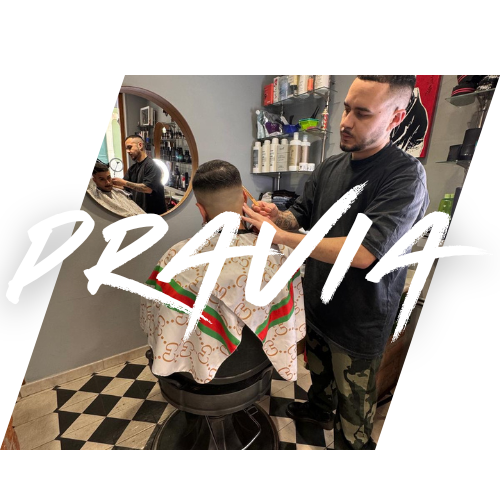 Pravia